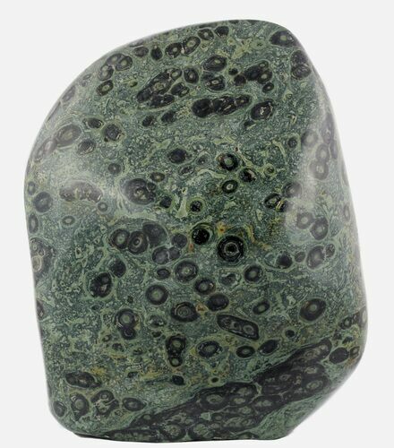 Free-Standing, Polished Kambaba Jasper - #51705